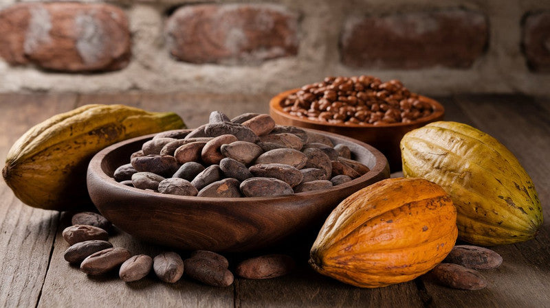 Everything You Want to Know About Our New Peruvian Cacao