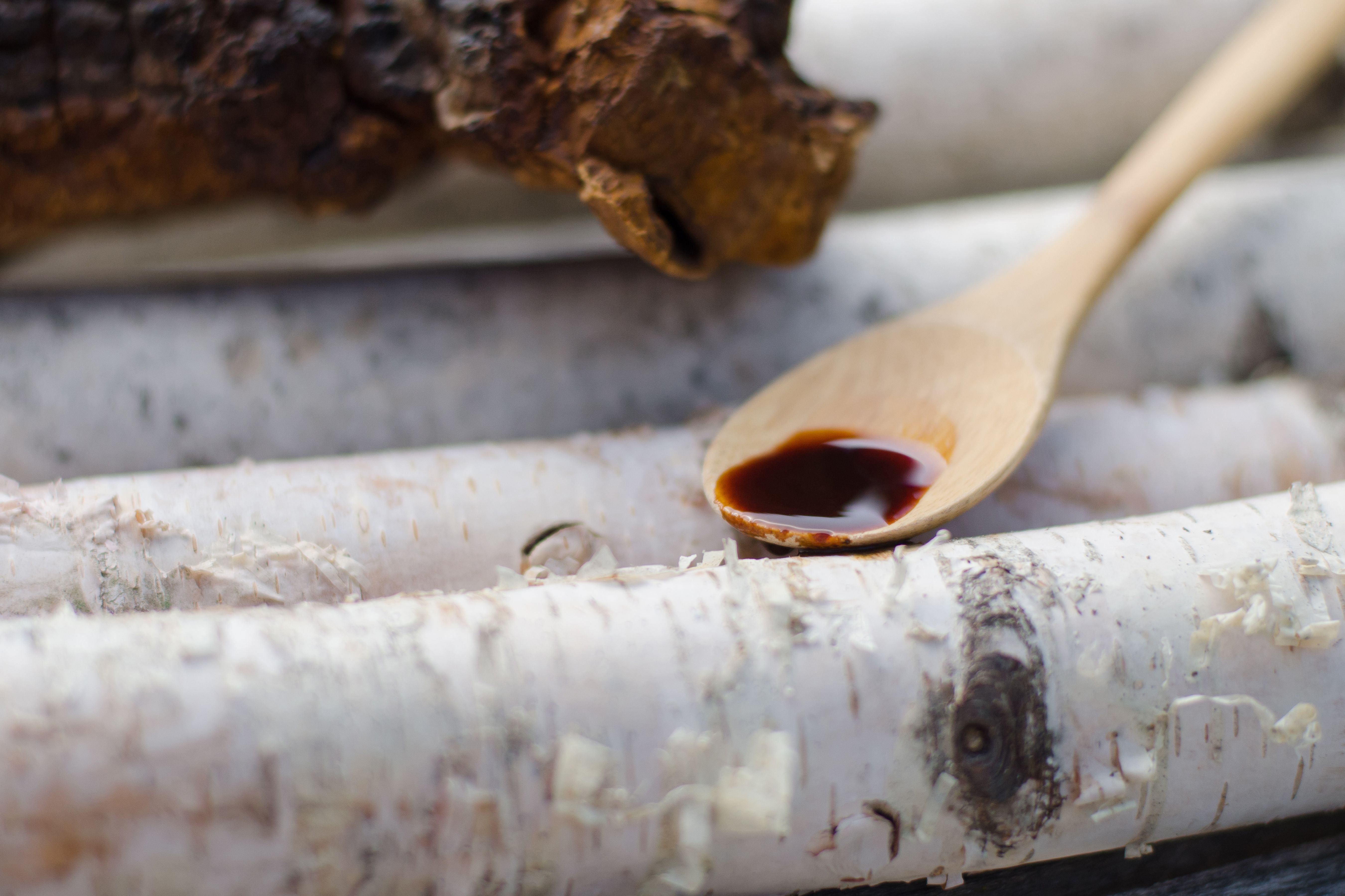 What is Chaga?